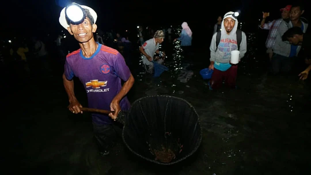 Dinamika Fajar: Dari Tradisi Nyale yang Sakral Hingga Insiden Mencekam di Berbagai Penjuru Negeri