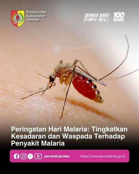 Singapura Tingkatkan Waspada terhadap Lonjakan Populasi Nyamuk dan Kecoak Saat El Nino Memuncak, Pemerintah Siapkan Langkah Mitigasi Kesehatan Publik