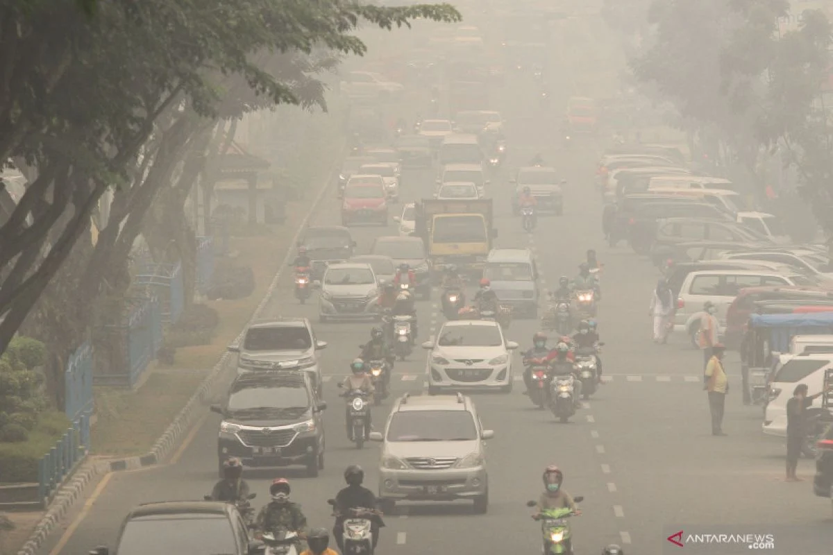 Pekanbaru Diselimuti Kabut Asap: Kualitas Udara Mencapai Level Berbahaya, Sekolah Daring Diperpanjang