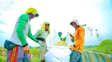 BPS Catat Produksi Beras Naik di Awal 2026, Sementara Kementan Tekankan Upaya Jaga Produktivitas melalui Kebijakan dan Dukungan Teknis kepada Petani