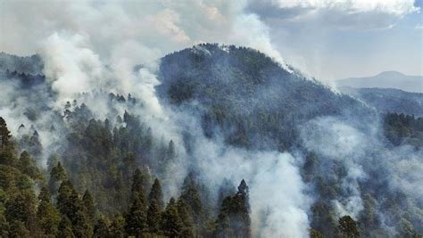 Satelit Uni Eropa berhasil mendeteksi kebakaran hutan di Ketapang, menyoroti asap tebal yang kini melayang tinggi di atmosfer