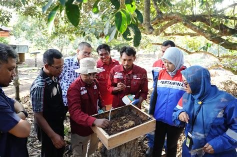 Pakar ITB menjelaskan mengapa karhutla terus berulang, menyoroti ancaman serius dari gambut kering yang mengeringkan hutan